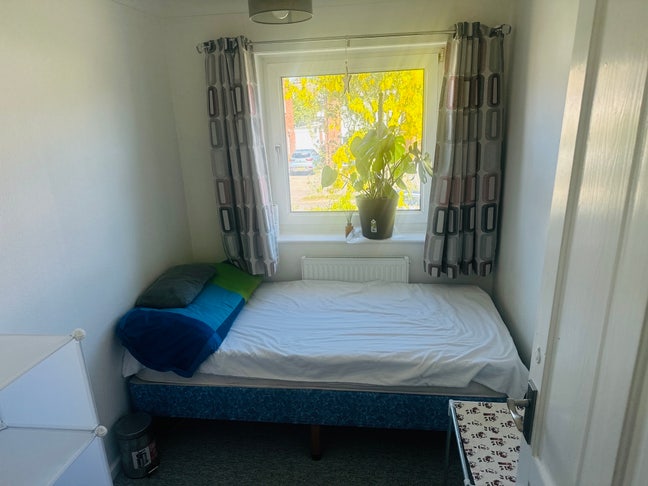 Single room available  Main Photo