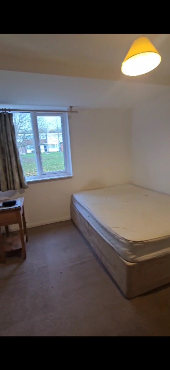 Room Available to Rent Main Photo