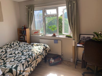 Cozy room available for 1 month sublet  Main Photo