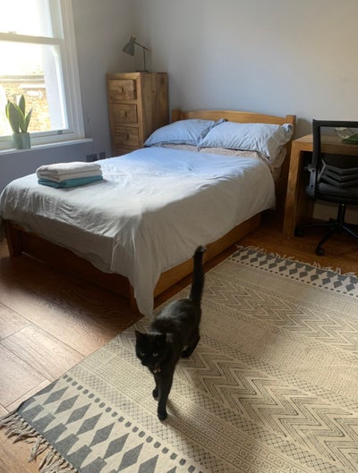 SUBLET near Battersea Park available August 16th! Main Photo