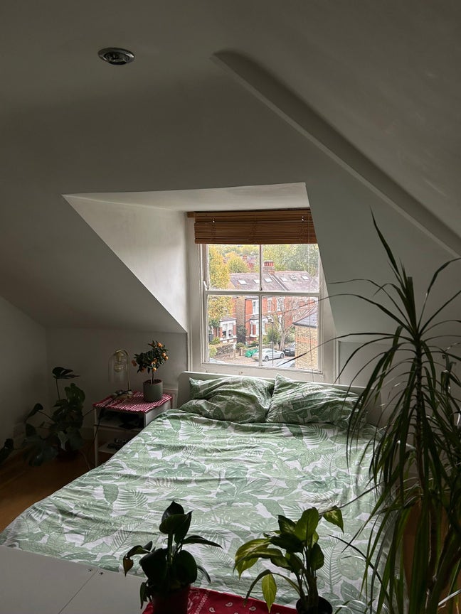 Room Available in West Dulwich/ Tulse Hill Main Photo