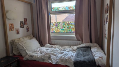 Cozy furnished single room  Main Photo
