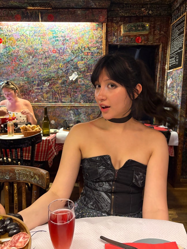 Professional looking for room in west London Main Photo