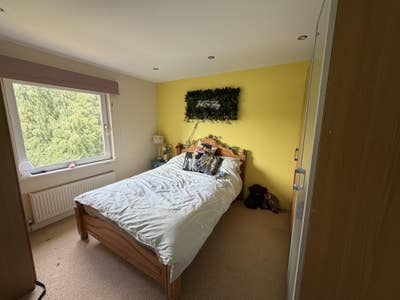 Double room available in scenic woodland  Main Photo