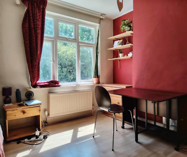 Pet-friendly single bedroom available   Main Photo