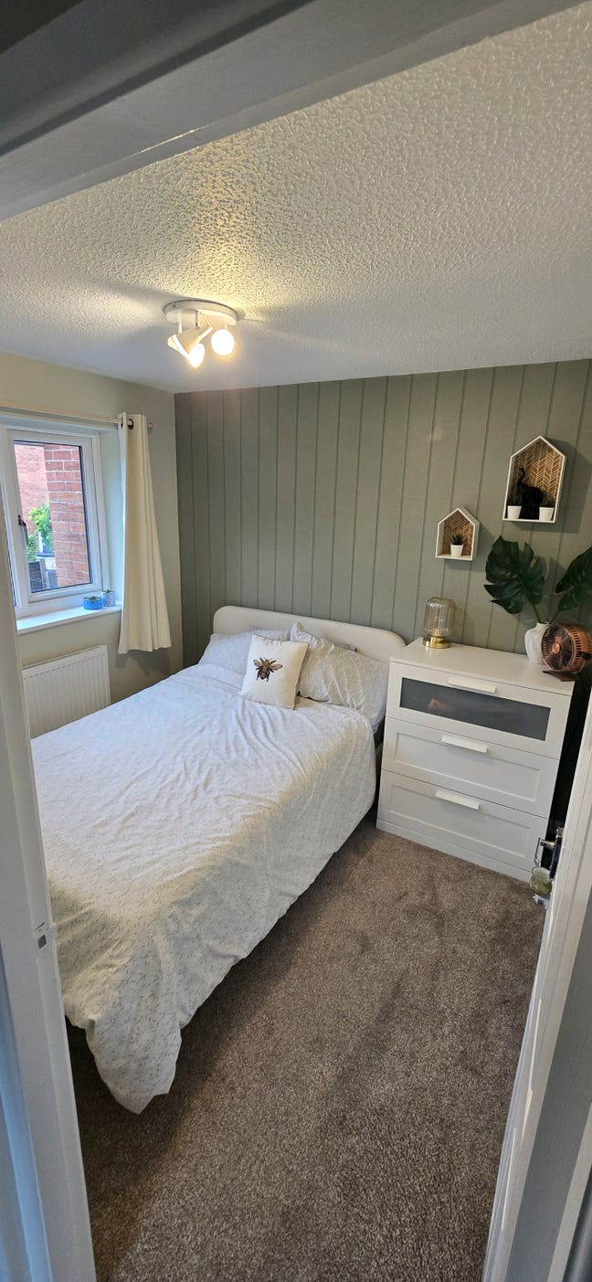 Cosy Room in welcoming calm home Main Photo