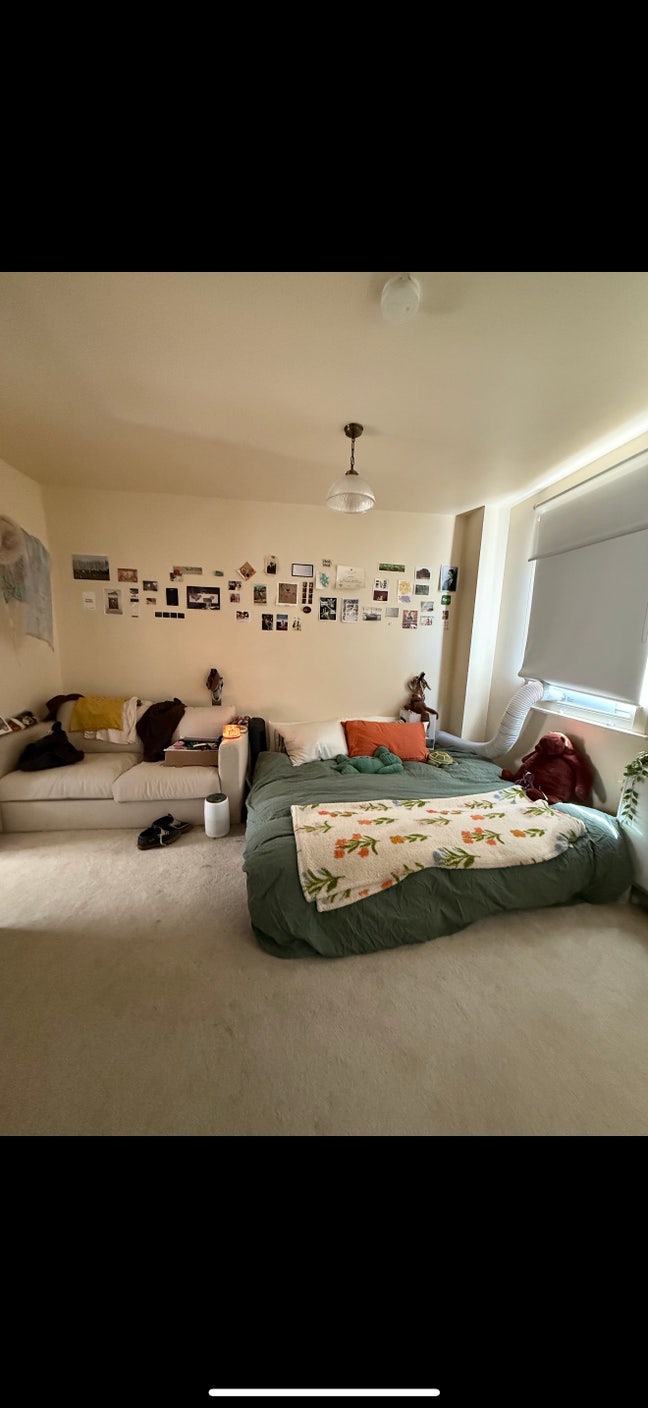 Cute Room for Rent on Exmouth Market Main Photo