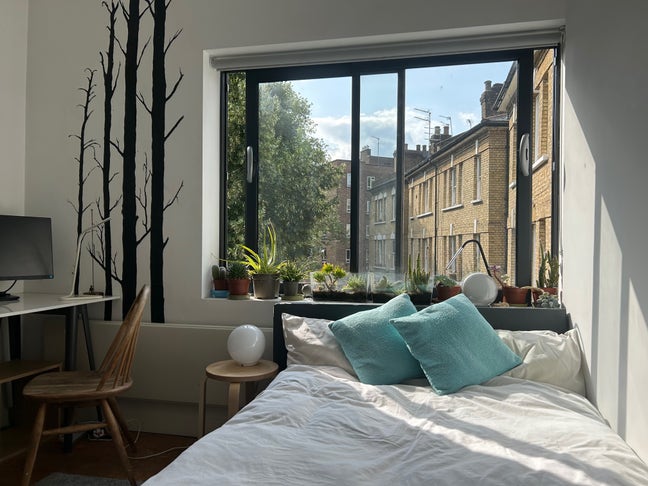 Primrose Hill room with roof terrace – and dog! Main Photo