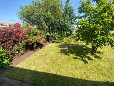 Room wanted in shared accommodation close to Larne Main Photo