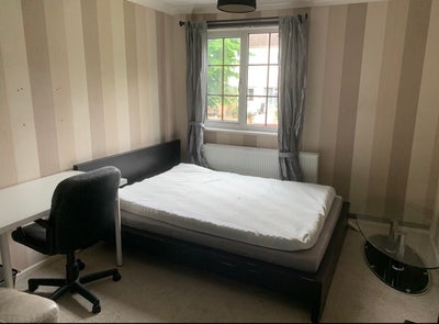 Massive Double room for rent Main Photo