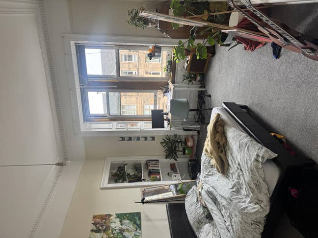 Large room in flat in Marchmont  Main Photo