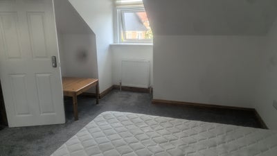 Large room to let  Main Photo