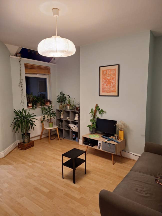 Looking for a housemate in Chorlton Main Photo