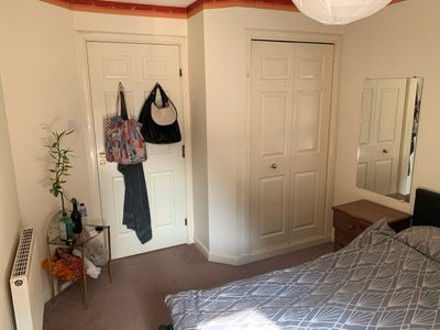 Cosy Room in Newington Main Photo