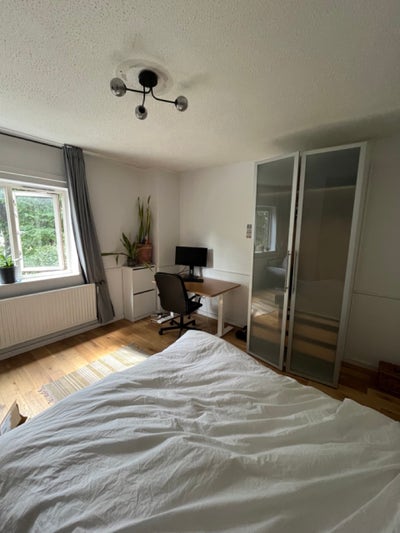 Mon-Fri, spacious bright room in Canonbury  Main Photo