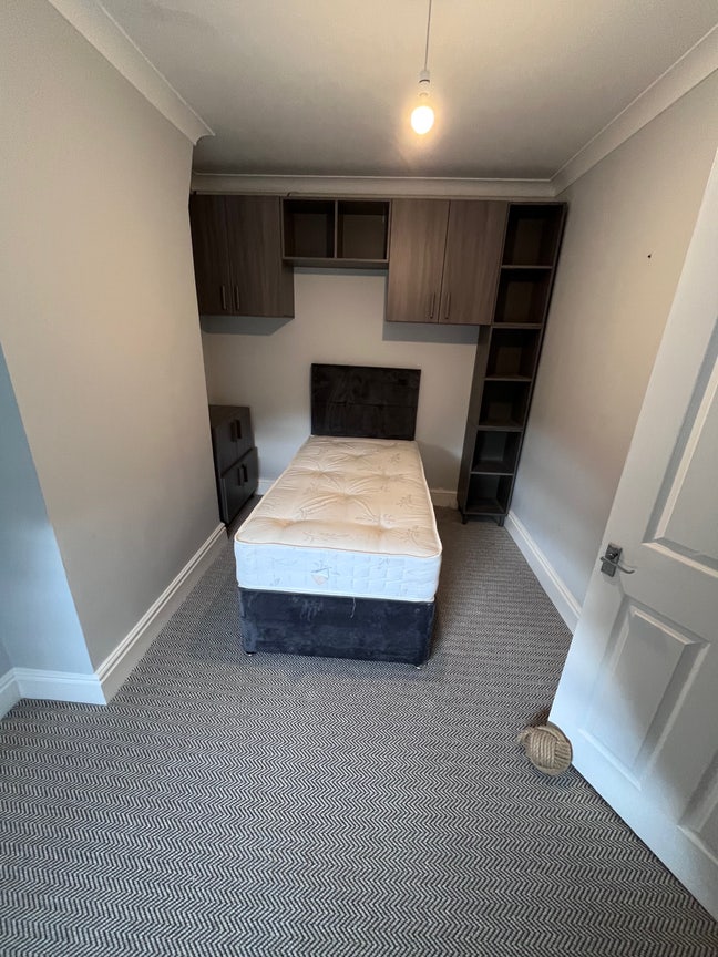 Room in a clean professional home L15 Main Photo