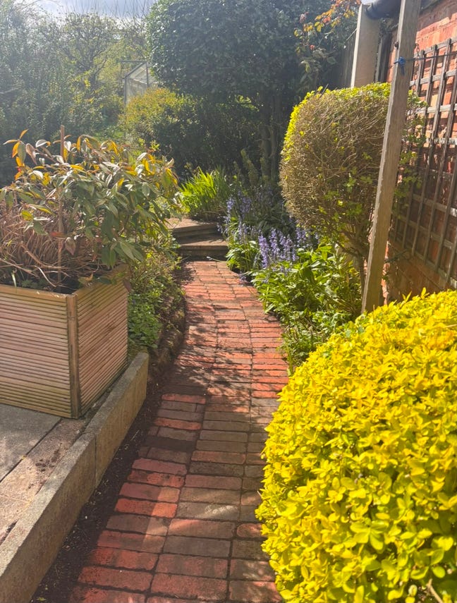 Peaceful room in beautiful garden home  Main Photo