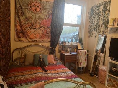 Quiet, Double Room in All Female House Main Photo