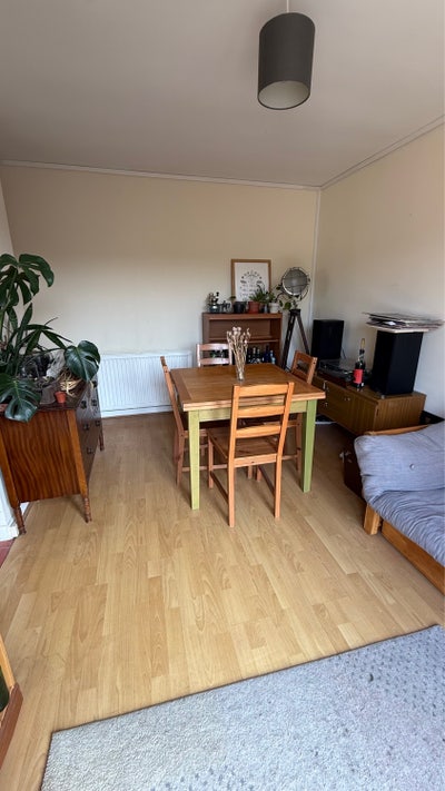 Large room in a lovely house  Main Photo