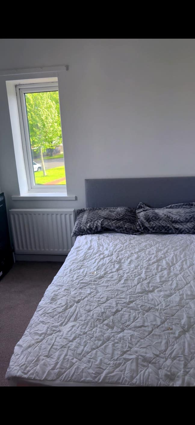 A room available in a 3 bedroom apartment  Main Photo