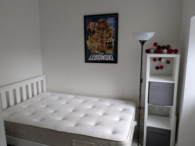 Double bedroom in shared house Main Photo