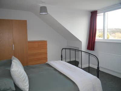 ⭐️ Huge Bedroom in friendly, professional house  Main Photo