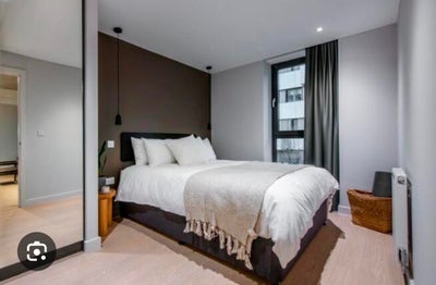 Luxury ensuite-Kampus-female flatmate wanted Main Photo