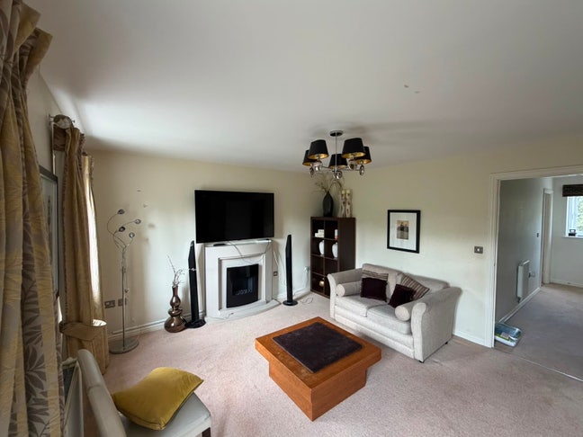 Spacious, clean and bright room- 0.1 miles to JCUH Main Photo