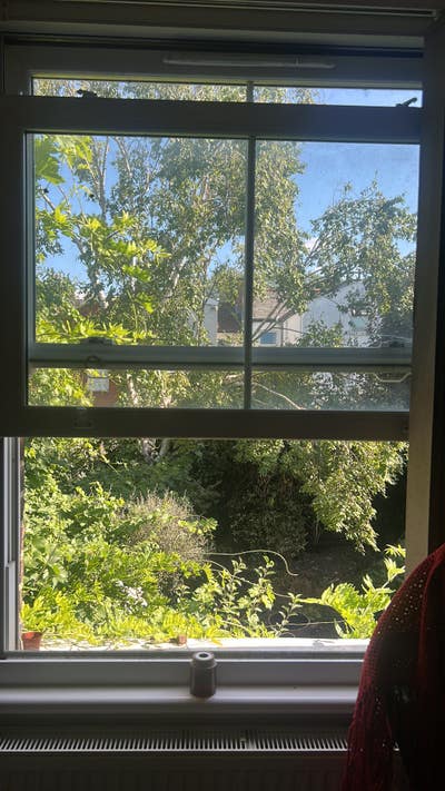 Spacious room available until 14th August Main Photo