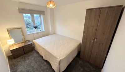 Luxury & Clean Room Available. UC accepted  Main Photo