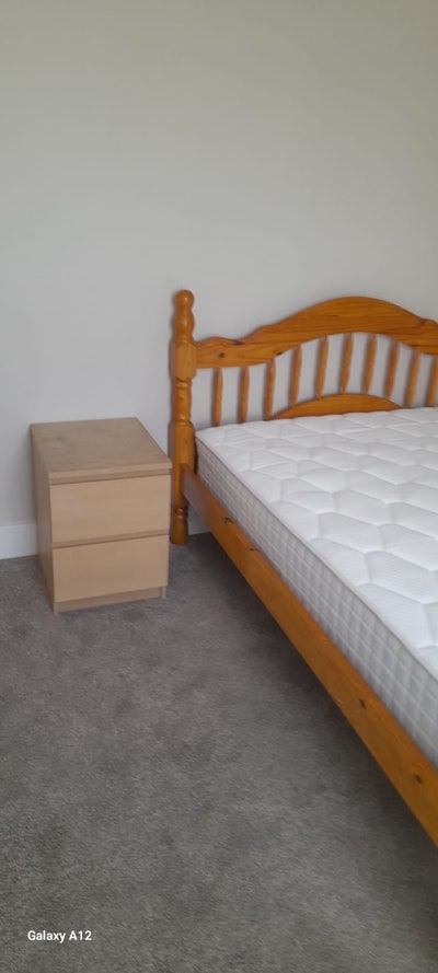 Bright double room in newly refurbished house 🐶 Main Photo
