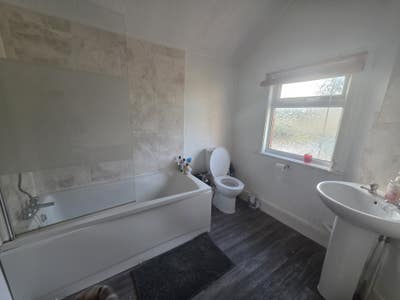 Single woman, looking for house mate. Main Photo