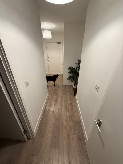 ✨1 Bed Flat for Rent ✨ Main Photo