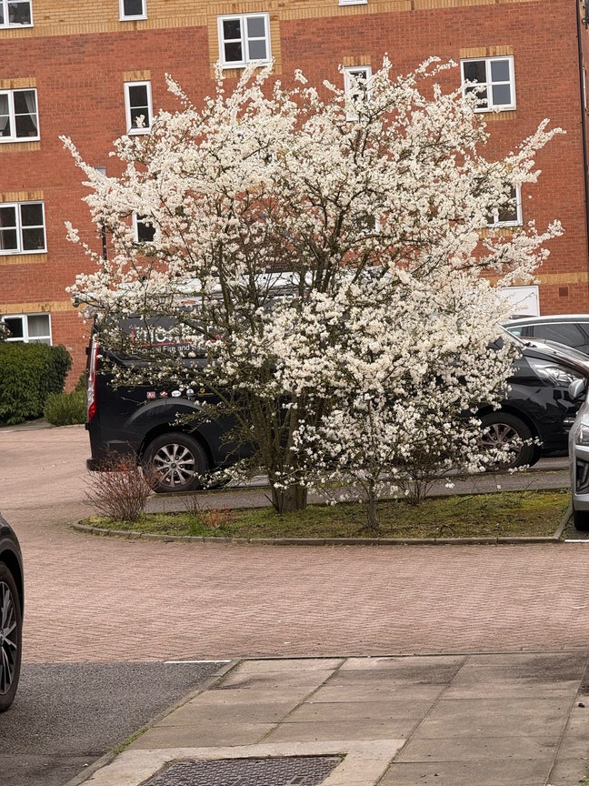 Lovely and furnished 2 bed apartment,incoming pics Main Photo