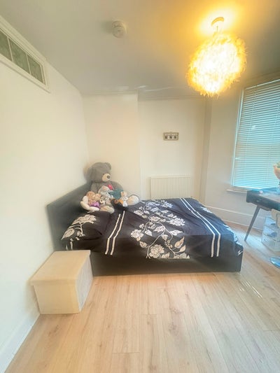 Double Room – Bills Inc – Must Love Pets! Main Photo
