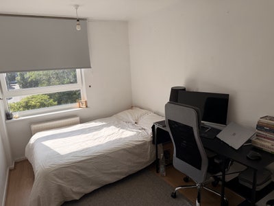 Double Room in the best neighborhood  Main Photo