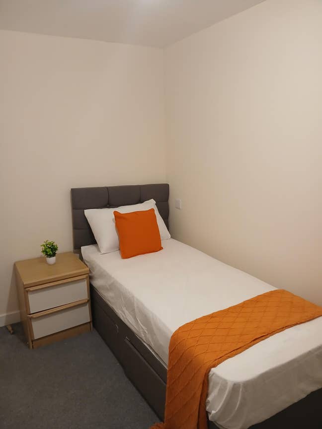 Spacious single room for rent  Main Photo