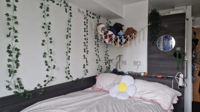 Double Bed Room in Great Location (51 Weeks) Main Photo