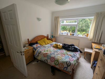 Room Available - Sept 1st - Stunning 3 Bed, 2 Bath Main Photo