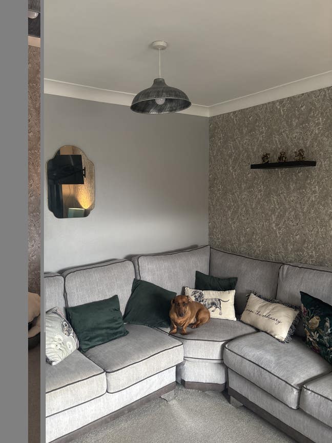 Hello I have a room for rent for professional pers Main Photo