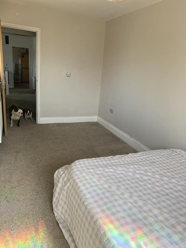 Lovely airy double room Main Photo