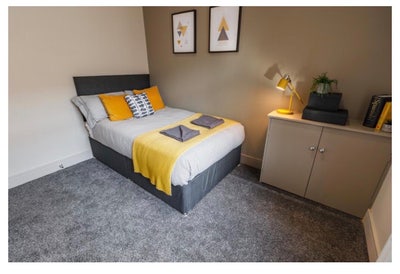 Room available to rent just off Princes Ave Main Photo