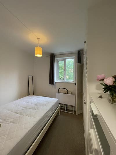 Cosy double room in friendly flat, Shepherds Bush  Main Photo