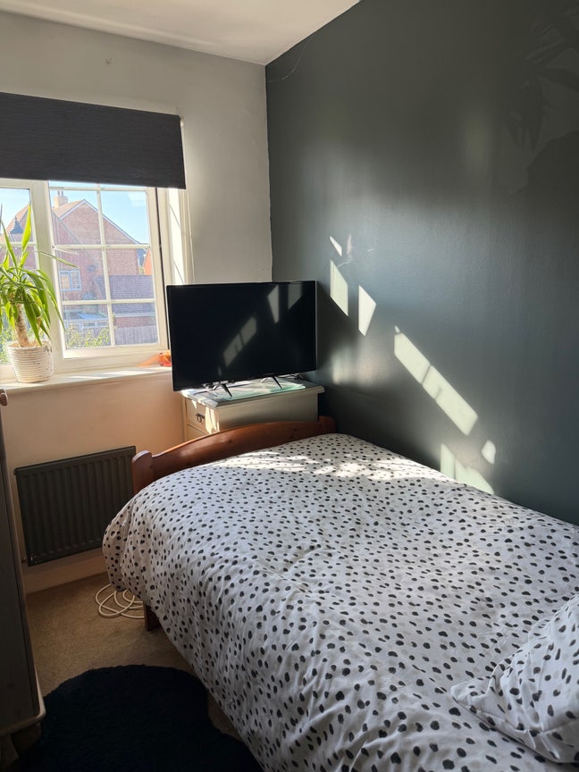 Single room to let Main Photo