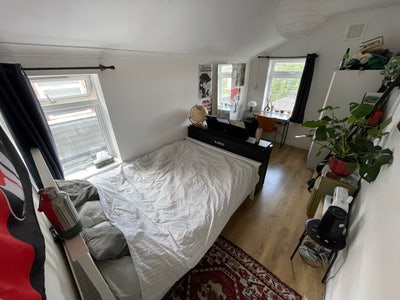 August Sublet Peckham Main Photo