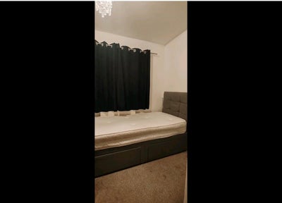 Newly Furnished Double room available  Main Photo