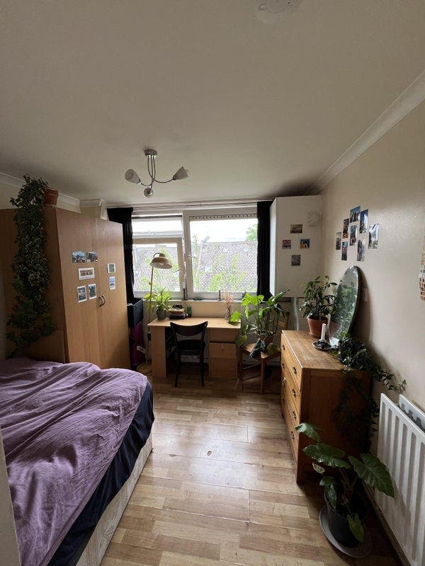 Double room available in Islington Flat! Main Photo