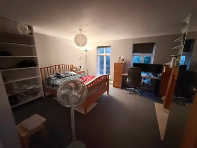 Large Double Room Available in Tooting Bec Main Photo