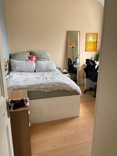 Beautiful Double Room Opposite Battersea Park 🌸 Main Photo