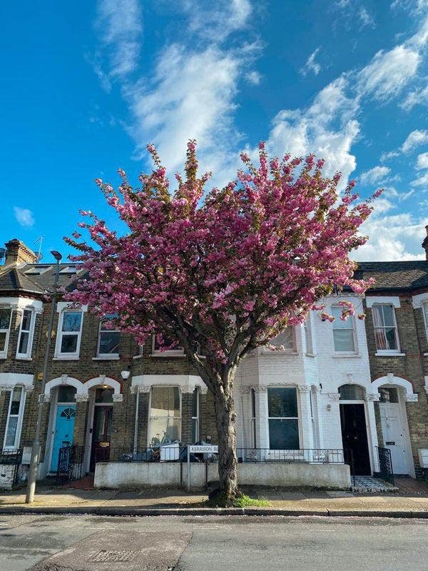 Sunny couples room in Clapham Junction! ✨🏡🌞 Main Photo